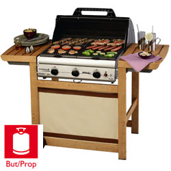 barbecue plancha barbecue plancha