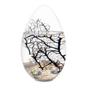 eco sphere eco sphere