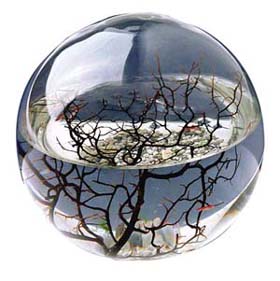 ecosphere ecosphere